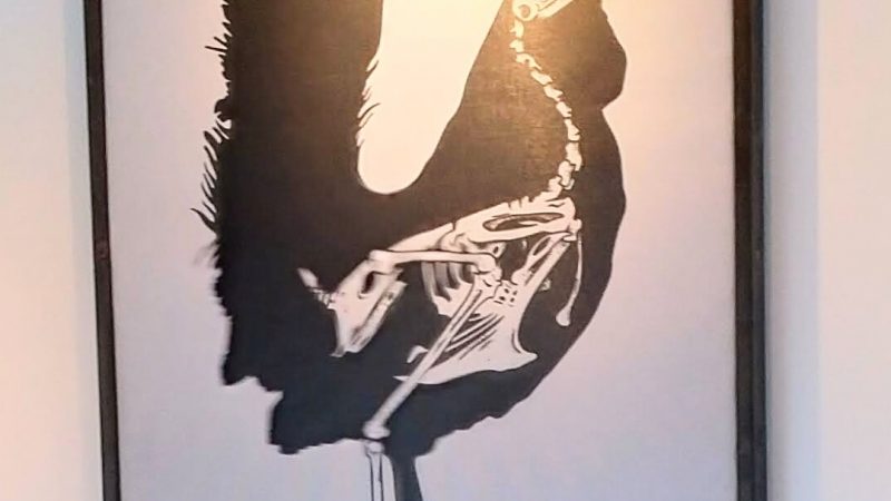 死魚眼與珍珠